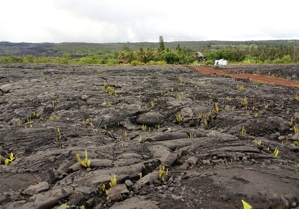 Big Island - Sudest