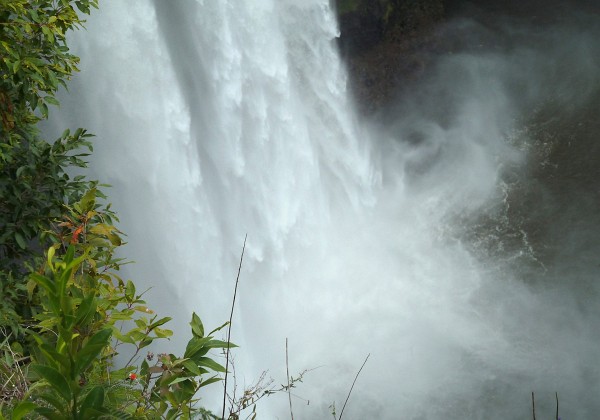 Kauai - Wailua e Opeaka Falls