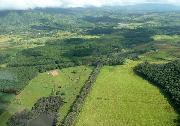 Kauai dall'alto - lato sud