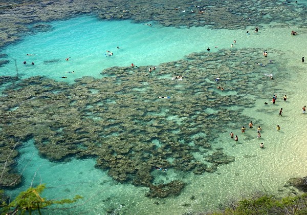 Oahu - Hanauma Bay