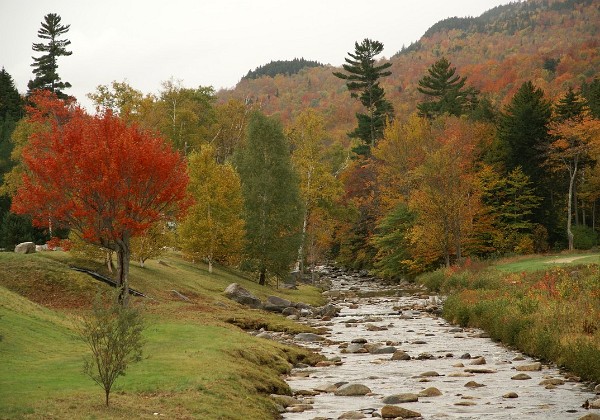 Mount Washington NH