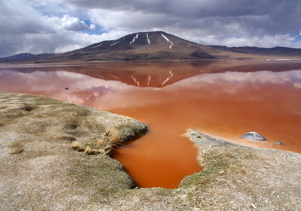 Laguna Colorada