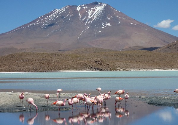 Laguna Hedionda