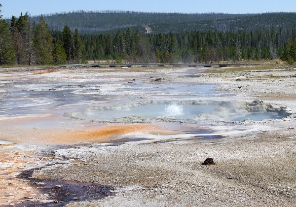 Yellowstone - Altri Geyser