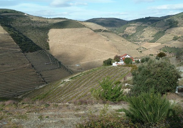 14 - Valle del Douro