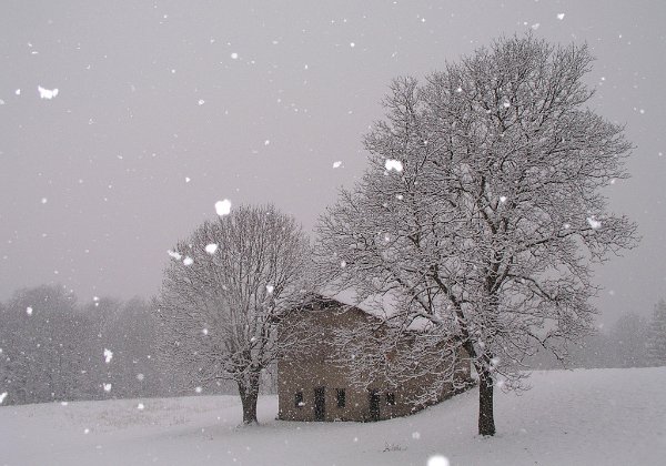 Nevicate di fine novembre