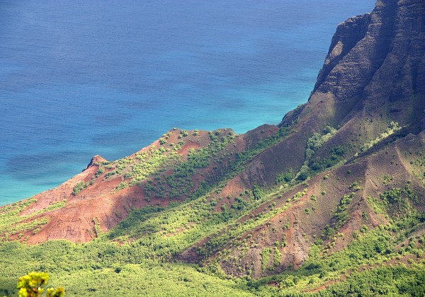 Kauai - Kokee SP